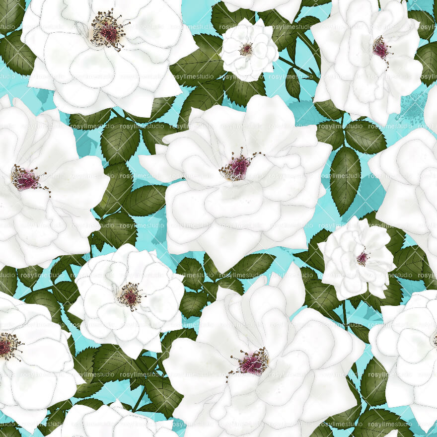 Seamless Pattern FL011EX - White roses in watercolor